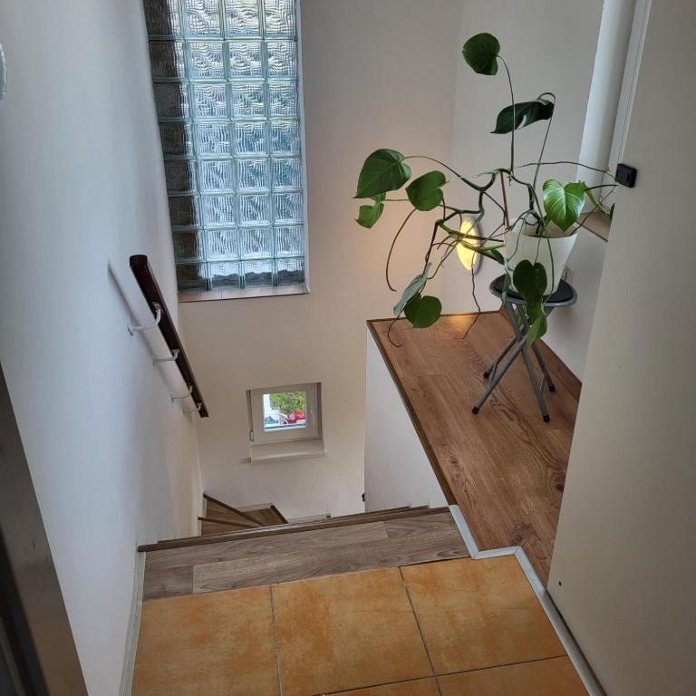 Apartman ,,Rokytka" Prága Kültér fotó